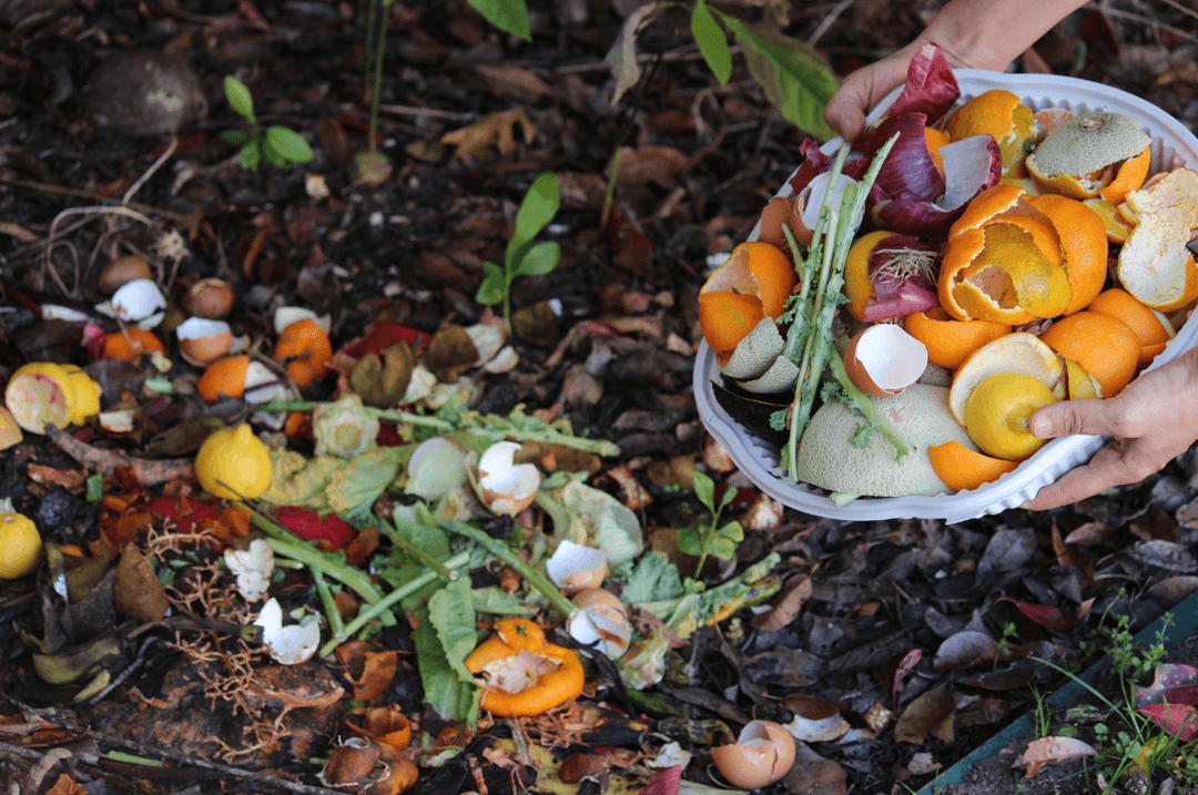 Épluches de légumes et de fruits