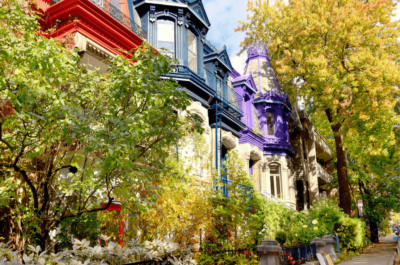 Image vedette de l'article