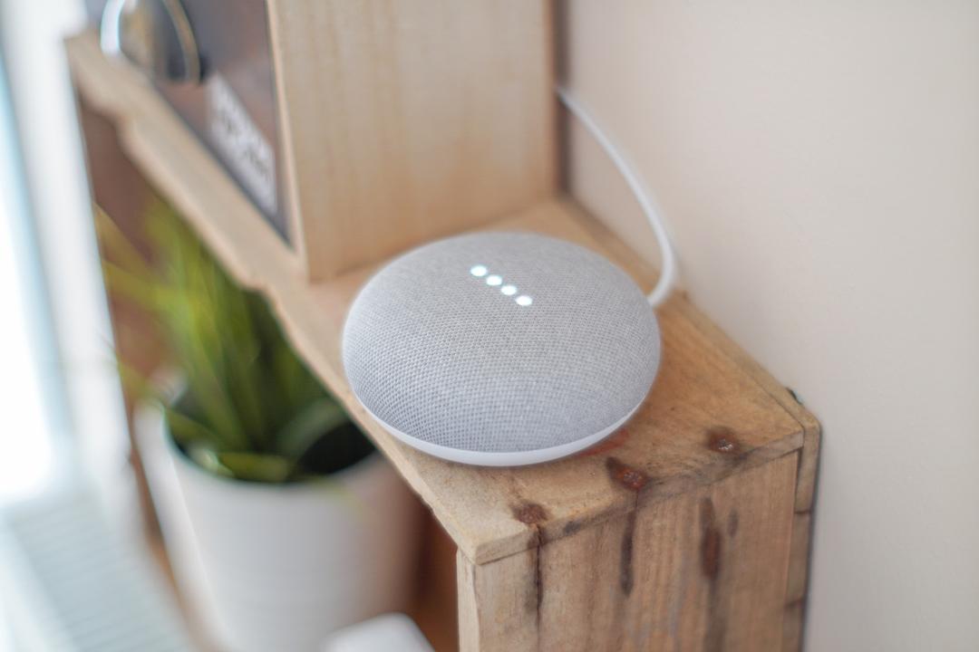 Haut-parleur intelligent Google home Google Nest