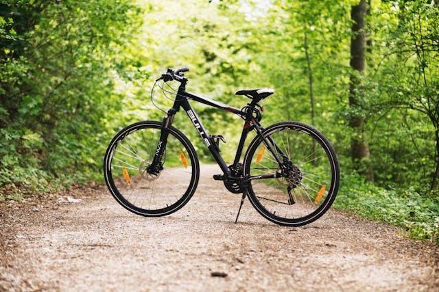 Vélo stationné sur une piste cyclable en foret