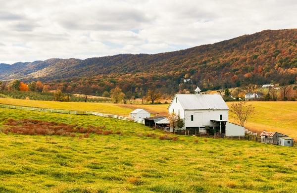 Acheter une maison en zone agricole : quoi vérifier