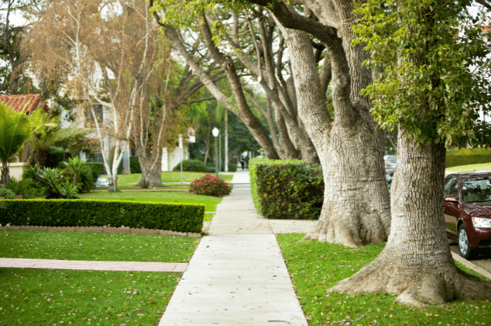 Trottoir d'un quartier de banlieue