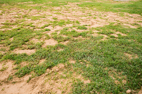 Terrain au sol sableux