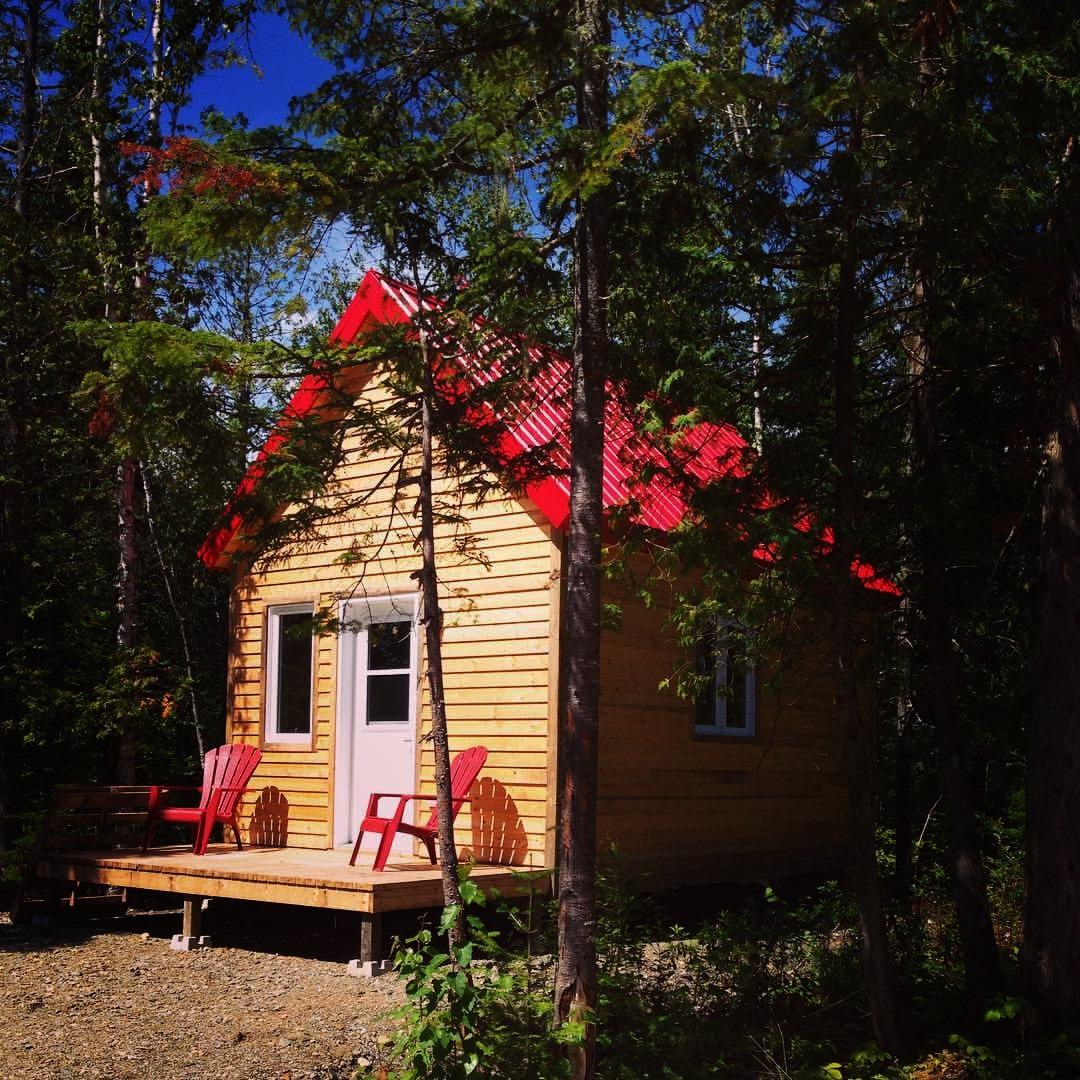 Mini cottage forestier building
