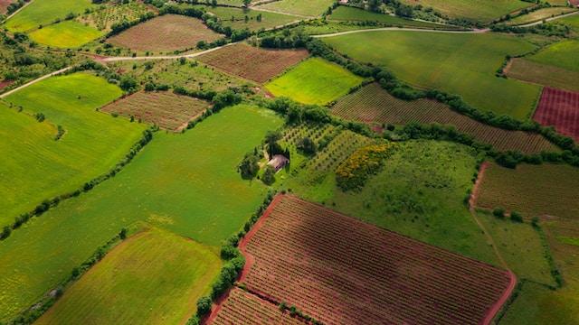 Vue aérienne de plusieurs terrains subdivisés en lots