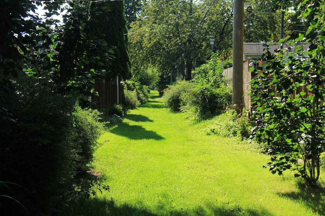 Achat maison Rosemont–La Petite-Patrie ruelle verte