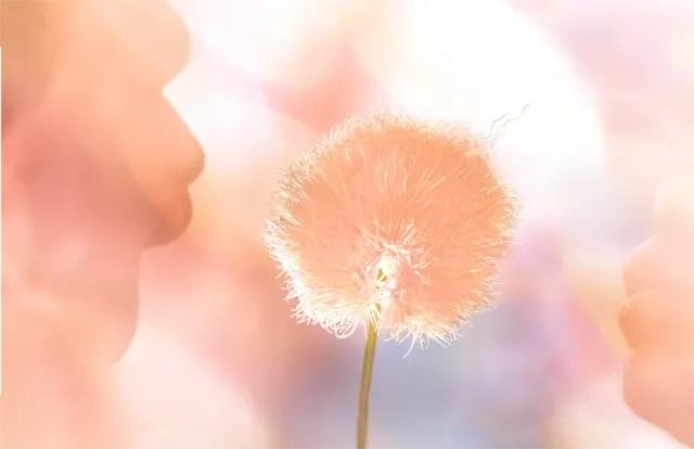 Peach Fuzz, couleur Pantone de l'année 2024