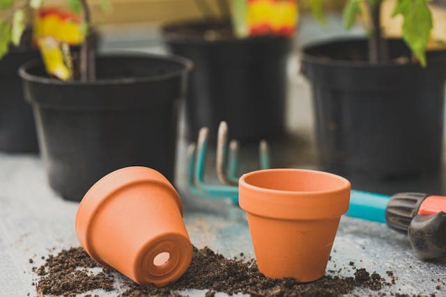 Pots en terre cuite pour le jardinage