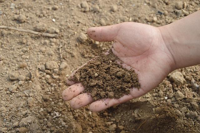 A hand full of soil
