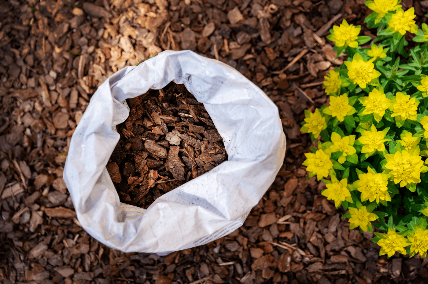 Image vedette de l'article