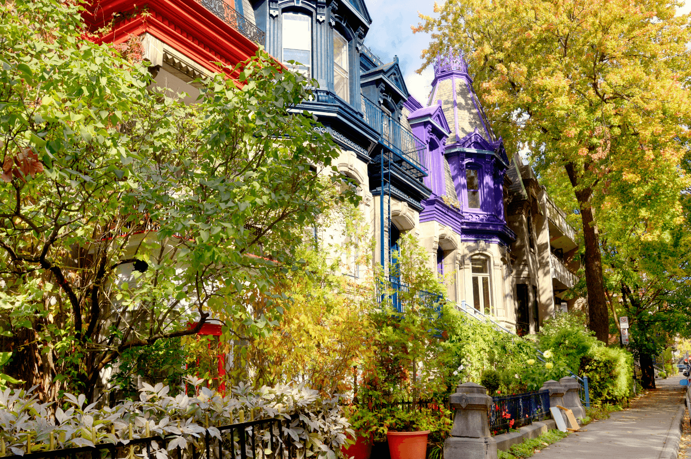 Image vedette de l'article