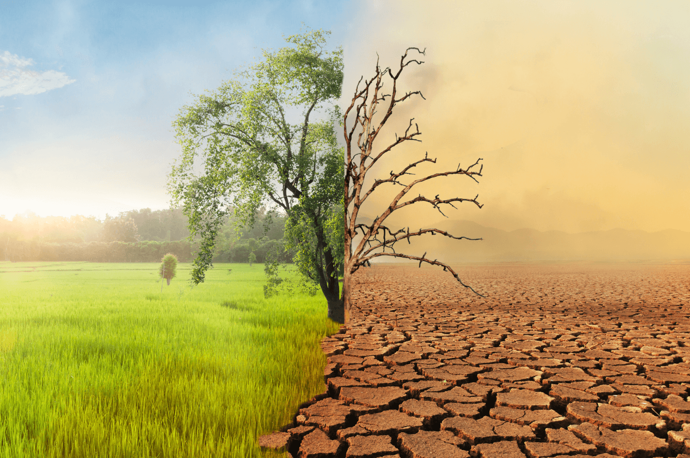 Image vedette de l'article