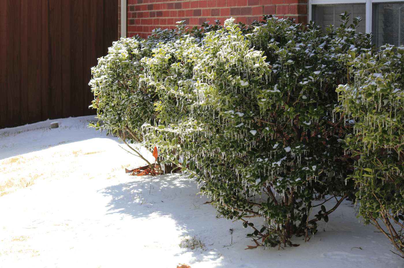 Image vedette de l'article