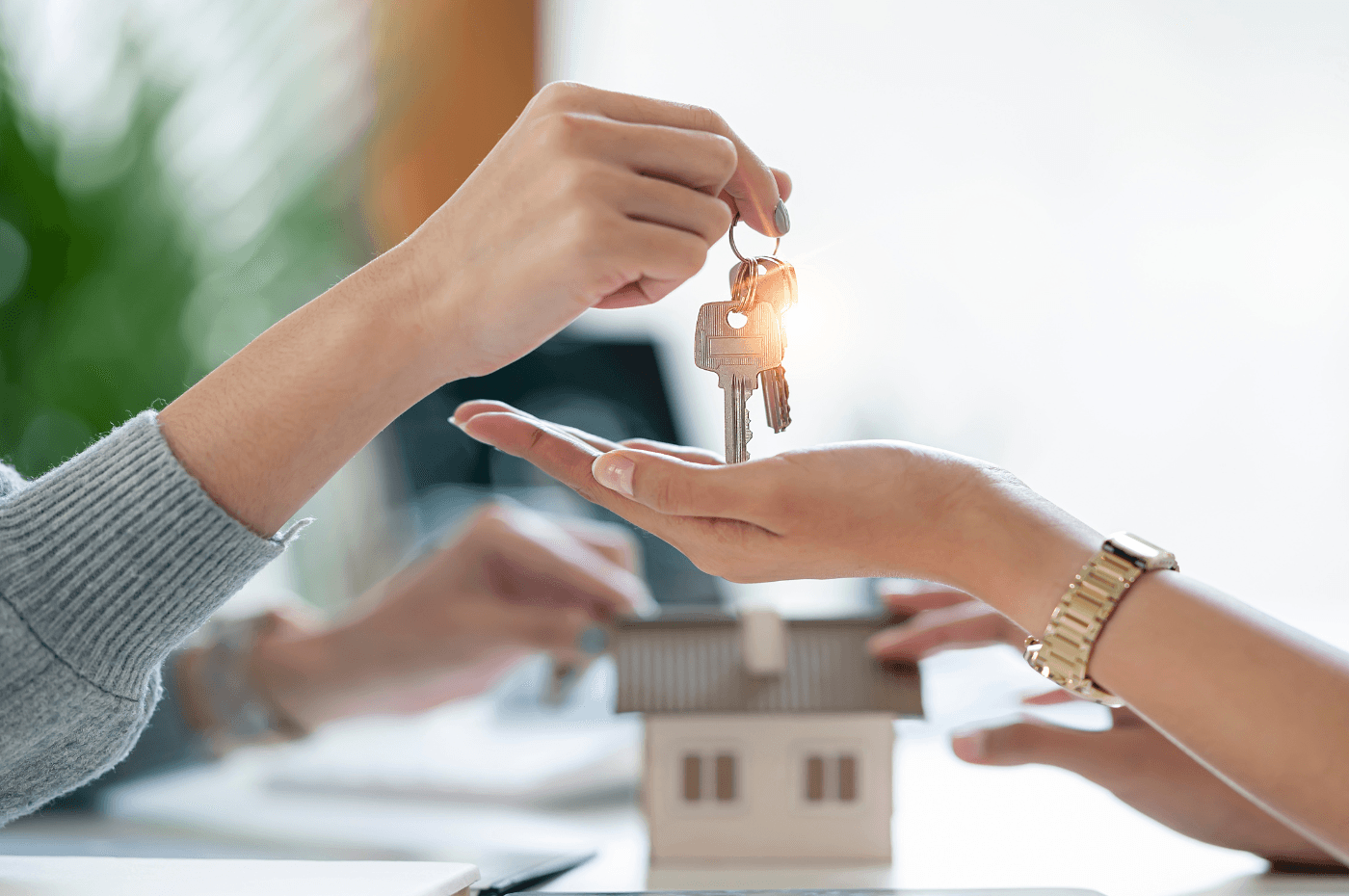 Image vedette de l'article