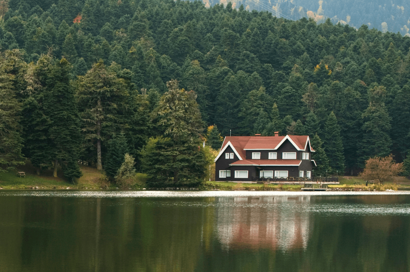 Image vedette de l'article