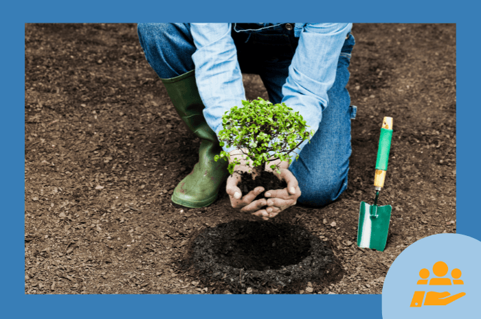 Image vedette de l'article