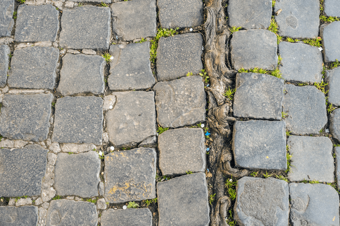 Image vedette de l'article