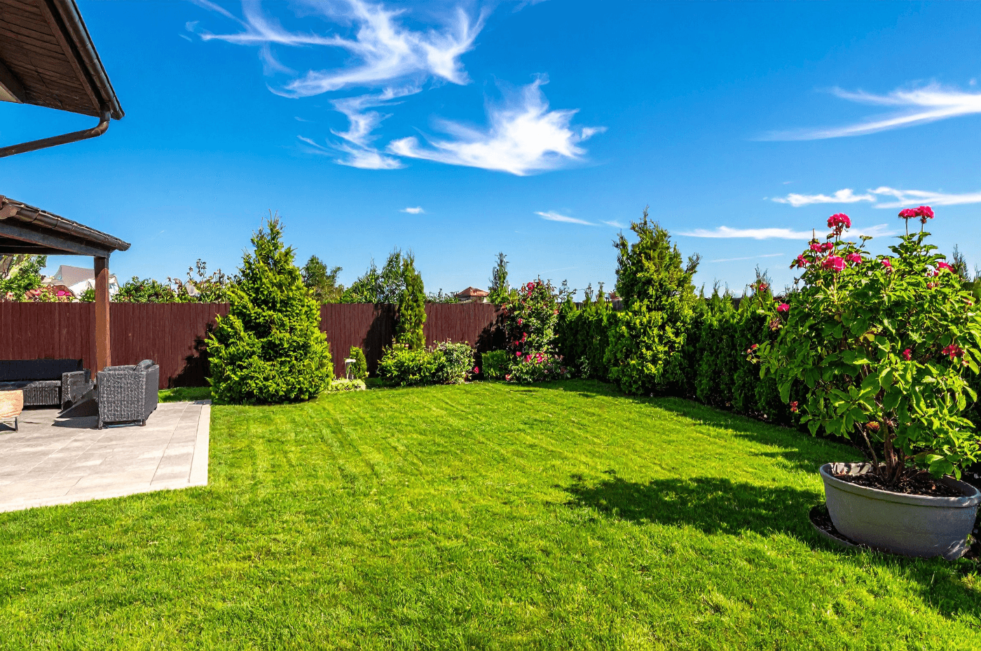 Image vedette de l'article