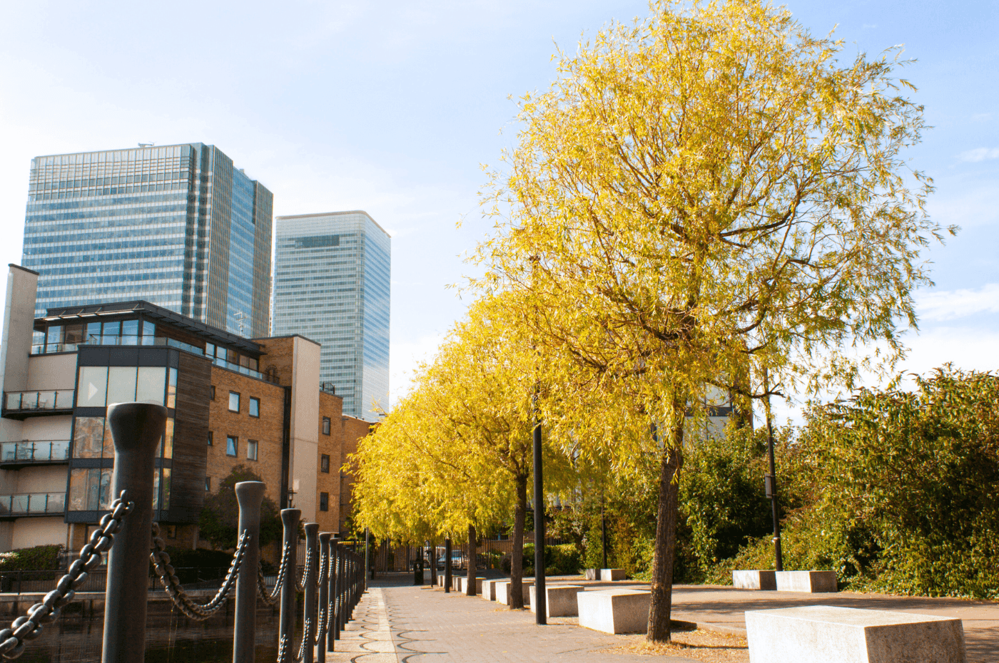 Image vedette de l'article