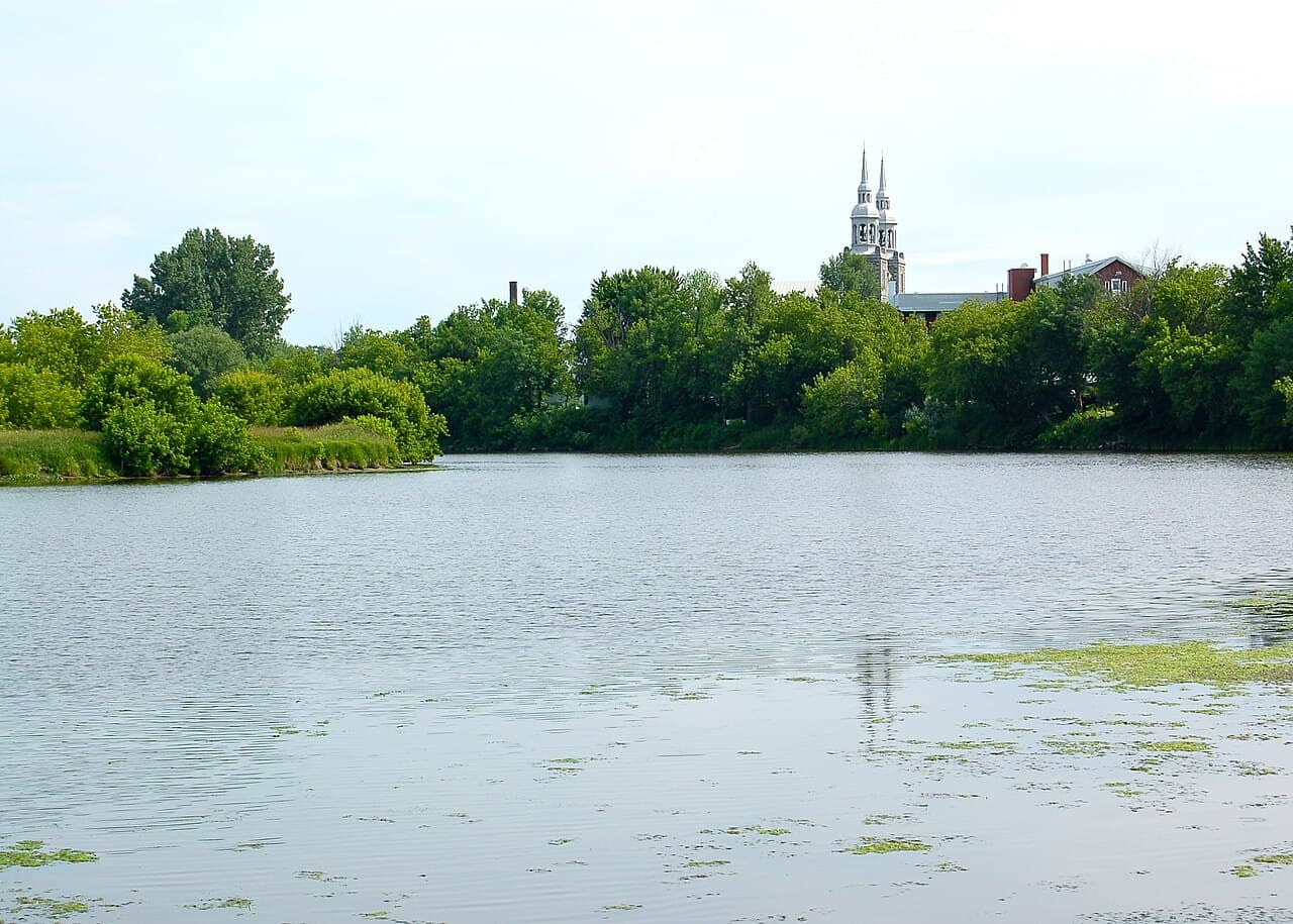 Image vedette de l'article