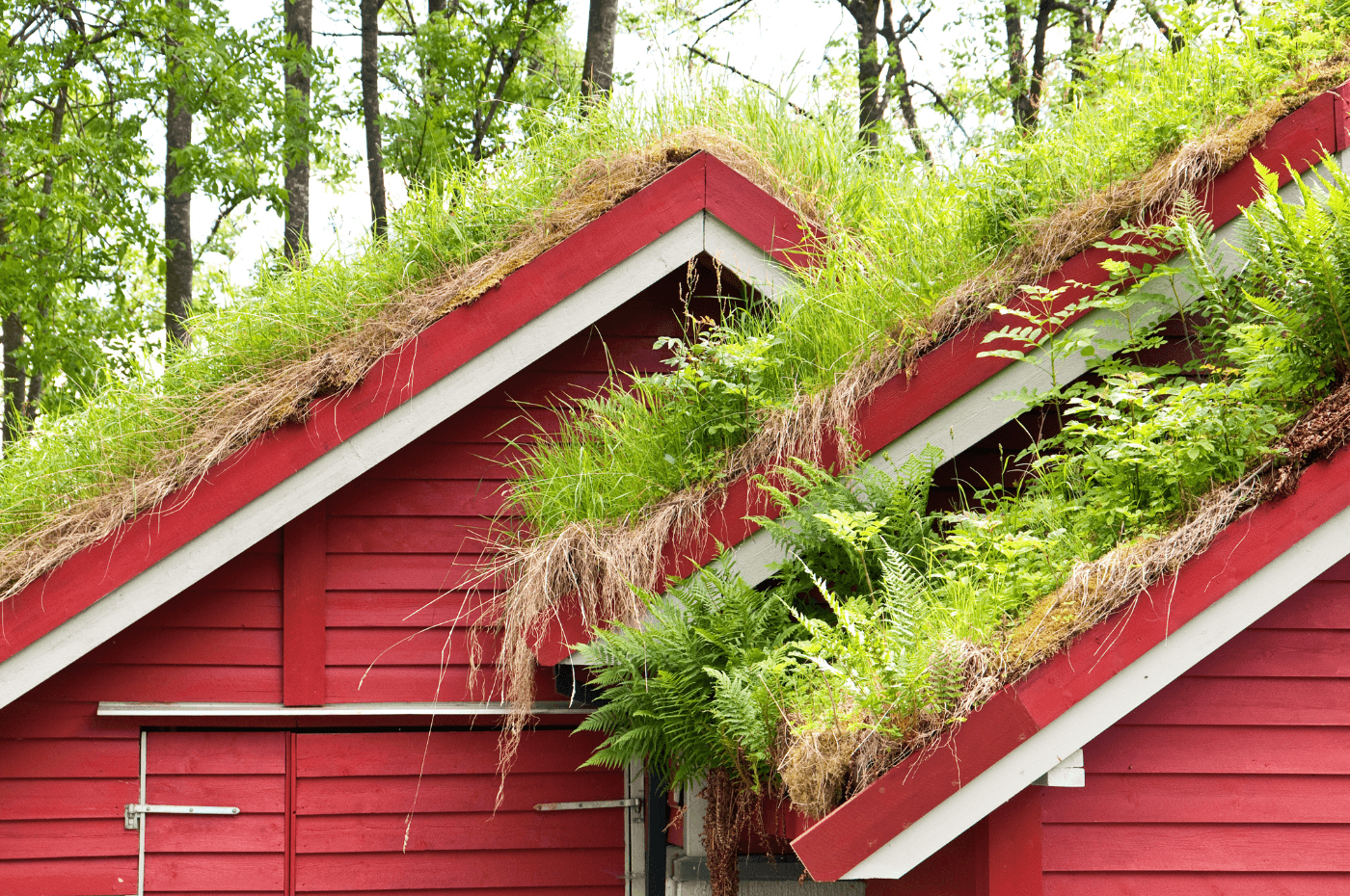 Image vedette de l'article