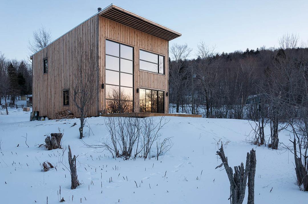 Wood Duck extérieur