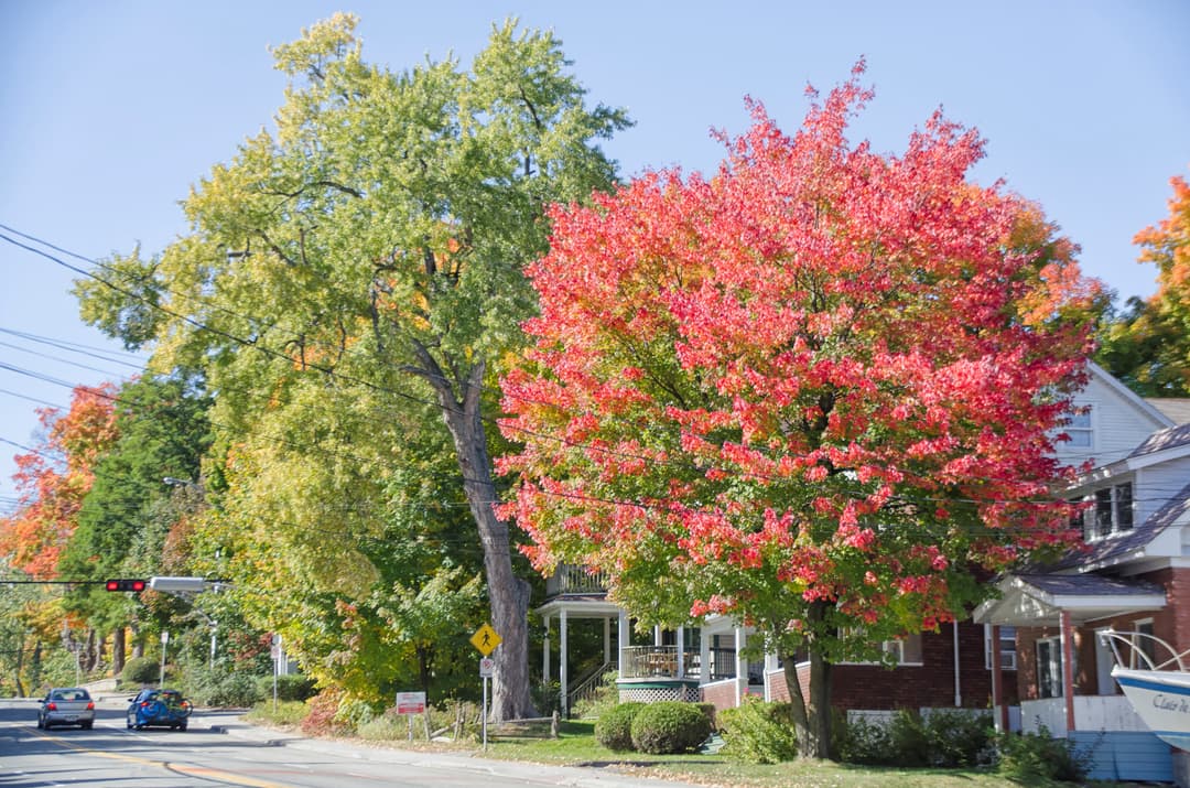 Ville Sherbrooke immobilier maison_ XpertSource