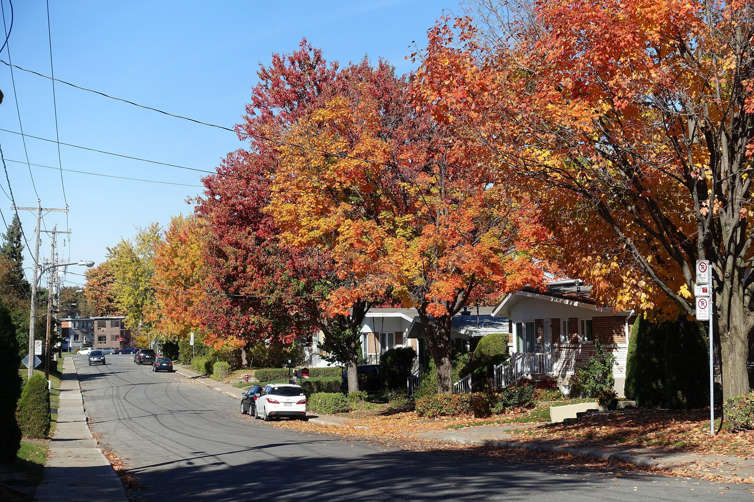 Image vedette de l'article