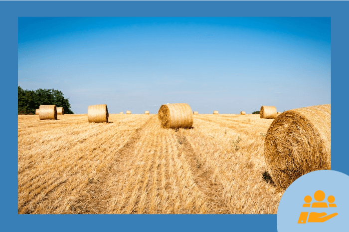 Image vedette de l'article