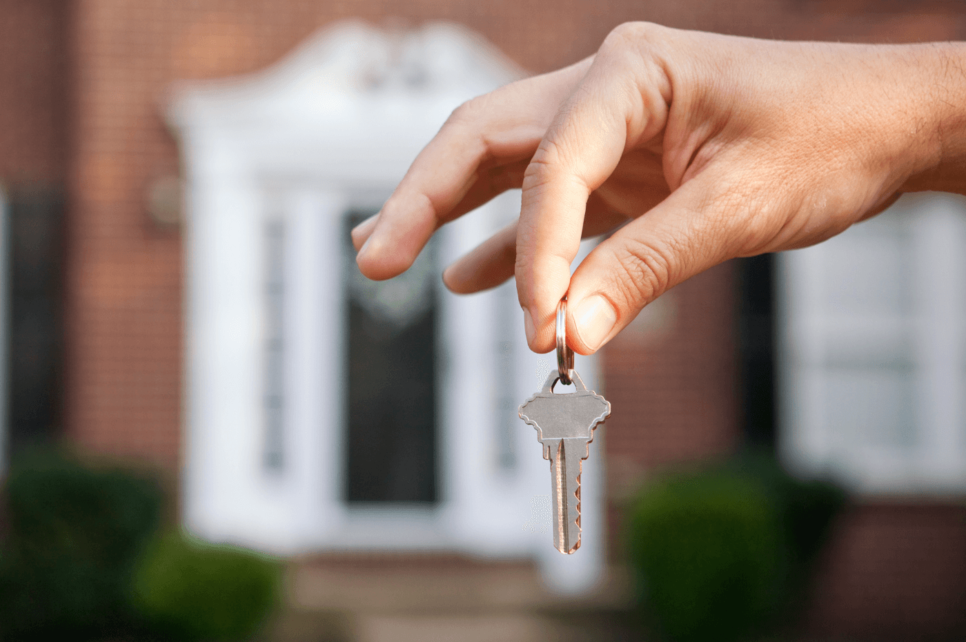 Image vedette de l'article