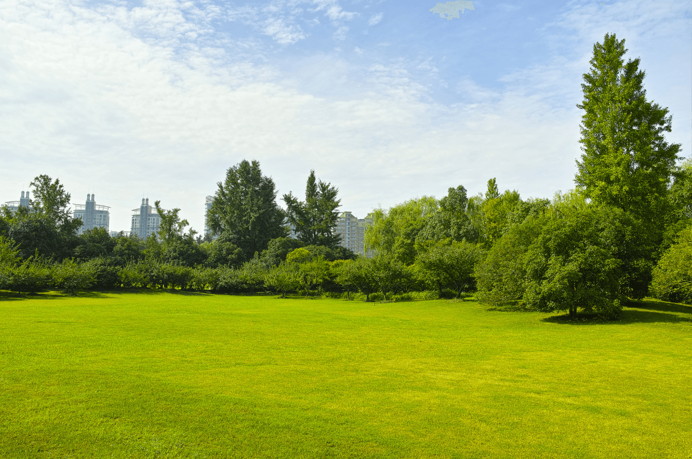 Image vedette de l'article