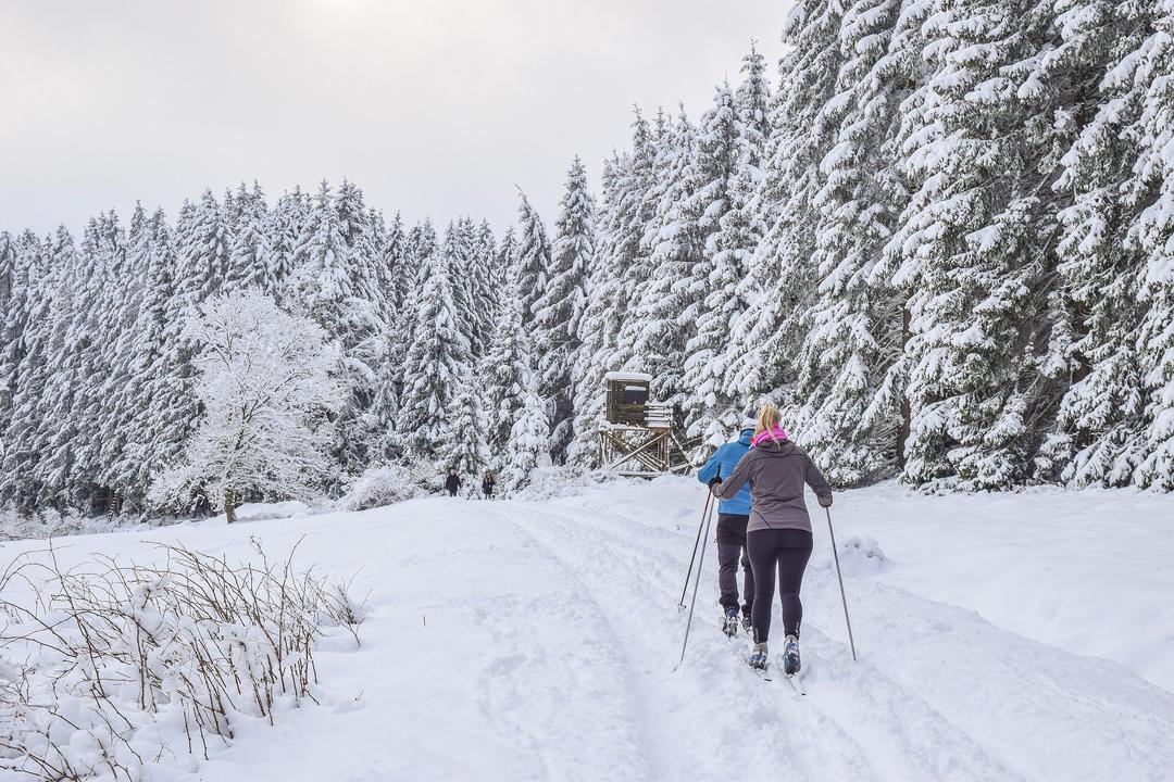 Ski de fond à Saint-Jérôme