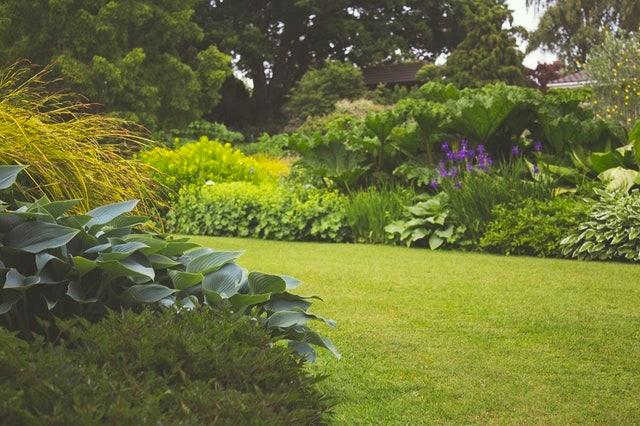 Les plantes : une astuces naturelle pour une cour intime