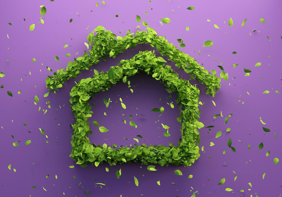 Maisons écologiques au Québec feuillage