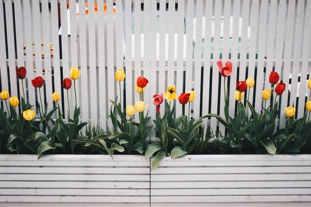 Quoi faire à l'extérieur de sa maison au printemps