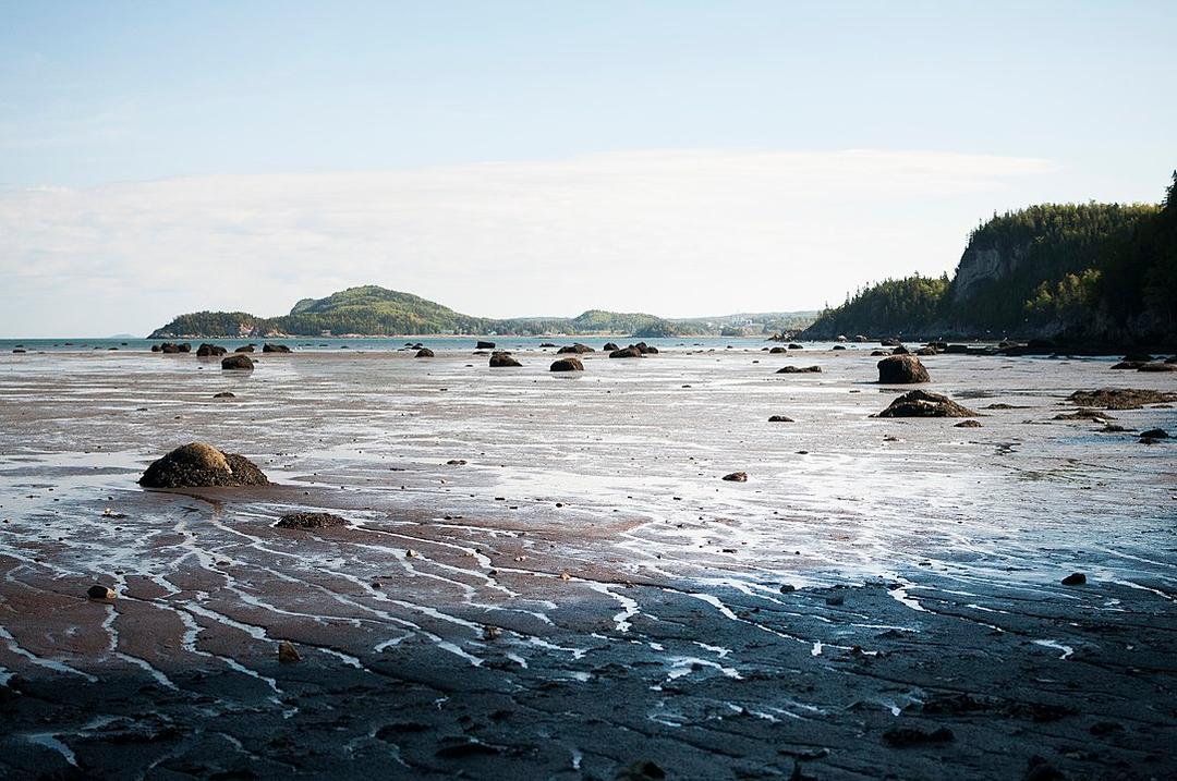 Une nature à couper le souffle
