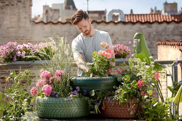 Homme plantant des fleurs