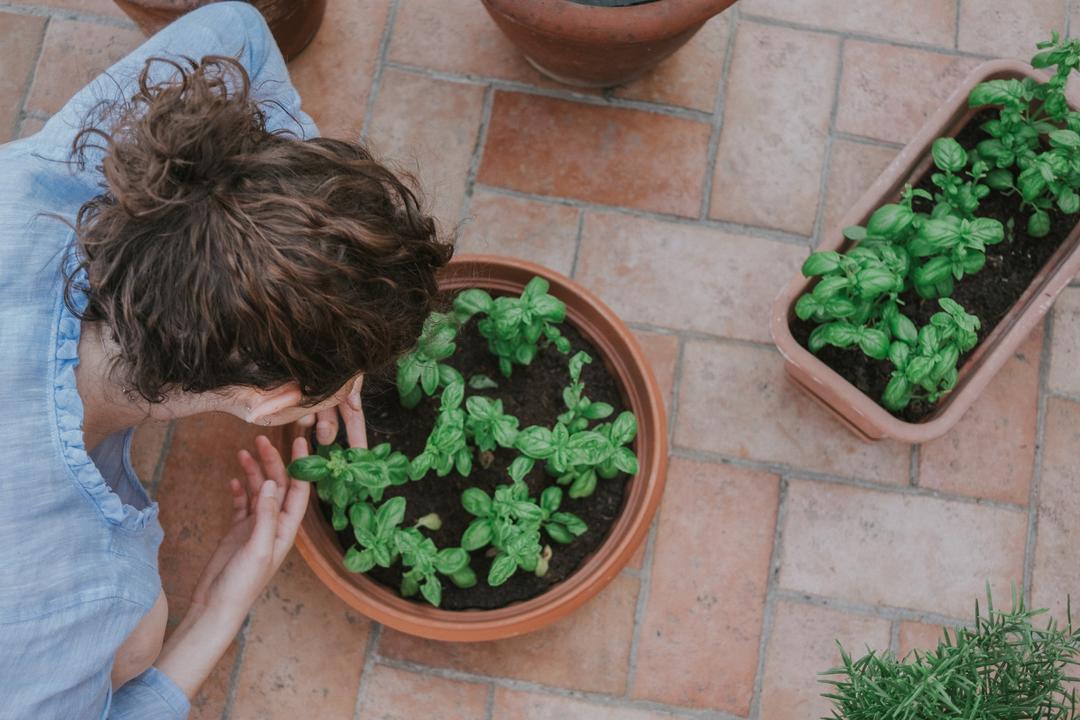 Quel taille doit avoir votre jardin ?