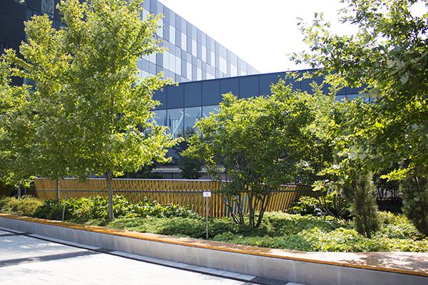 CHUM Ville-Marie - Crédit Sara Belaid