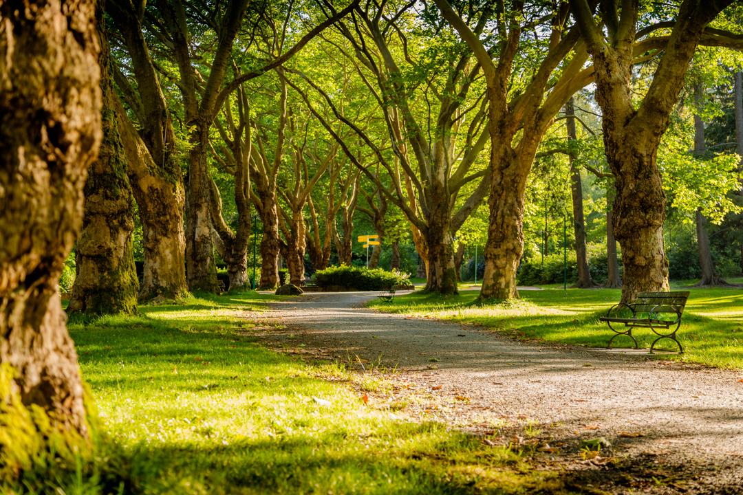 Un parc situé à Blainville
