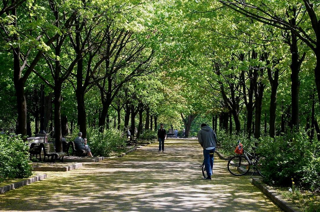 Parc verdoyant