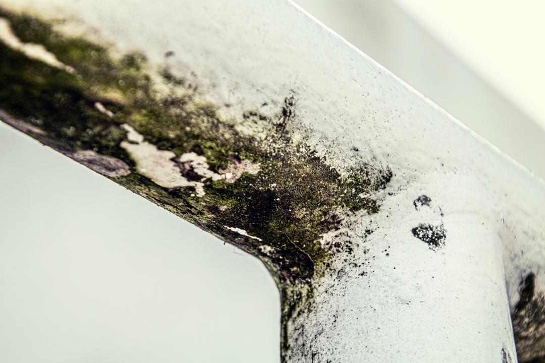 Infiltration d'eau et moisissure : les signes d'un problèmes de fondation