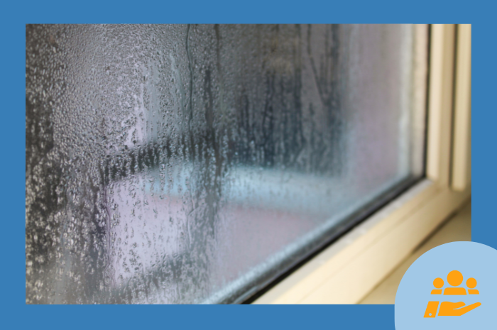 Condensation sur les fenêtres : causes, dommages et solutions