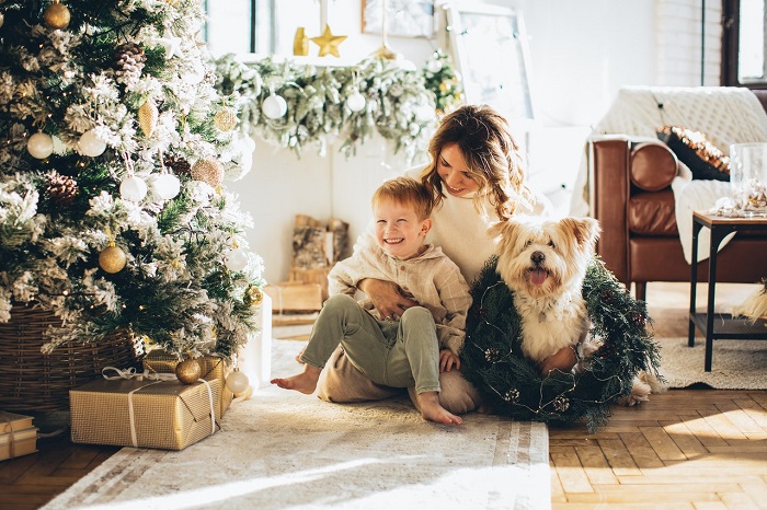 10 idées pour décorer sa maison à Noël