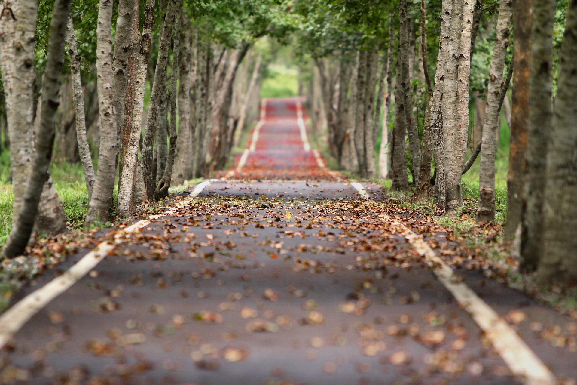 Tout savoir sur le droit de passage