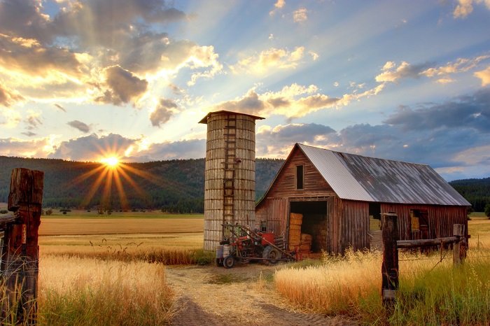 7 choses à vérifier avant d’acheter une propriété en zone agricole
