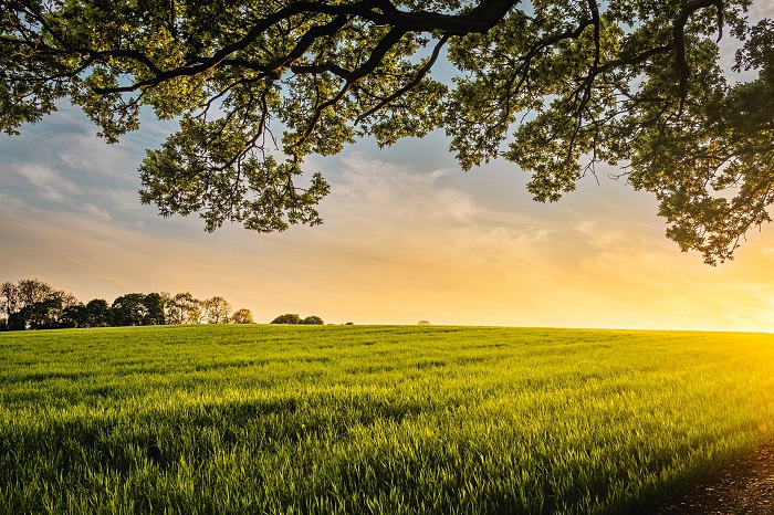 Comment trouver un terrain à vendre?