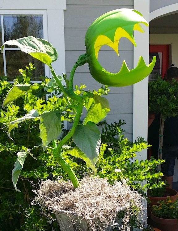 Une plante carnivore comme décoration d'Halloween