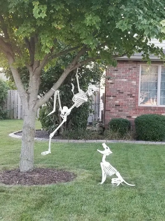 Un drôle de squelette dans un arbre