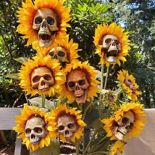 Halloween : des décorations de tournesols à tête de squelettes